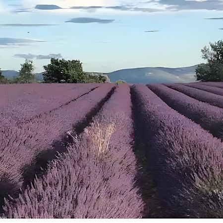 Bastide La Fondue Allemagne-en-Provence Exterior foto